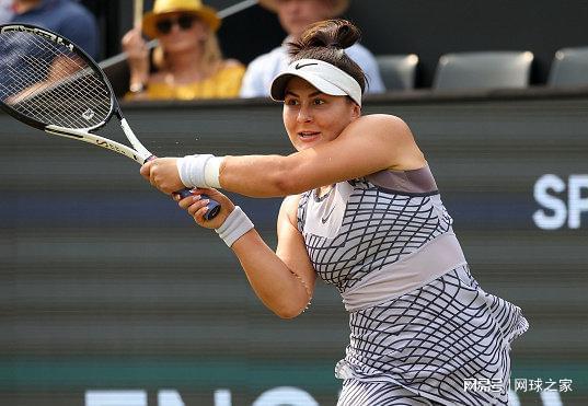 吸引了数百 吸引了数百